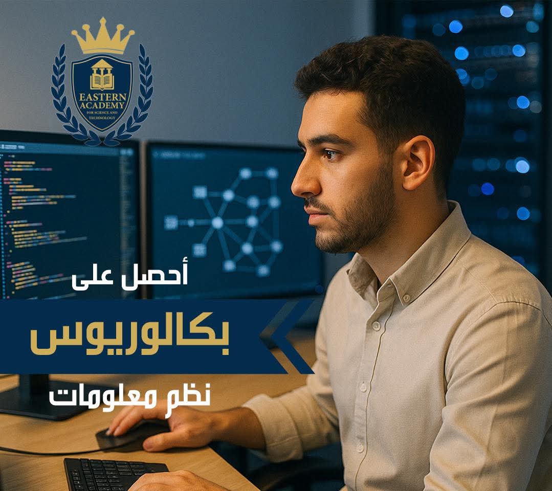 نظم معلومات